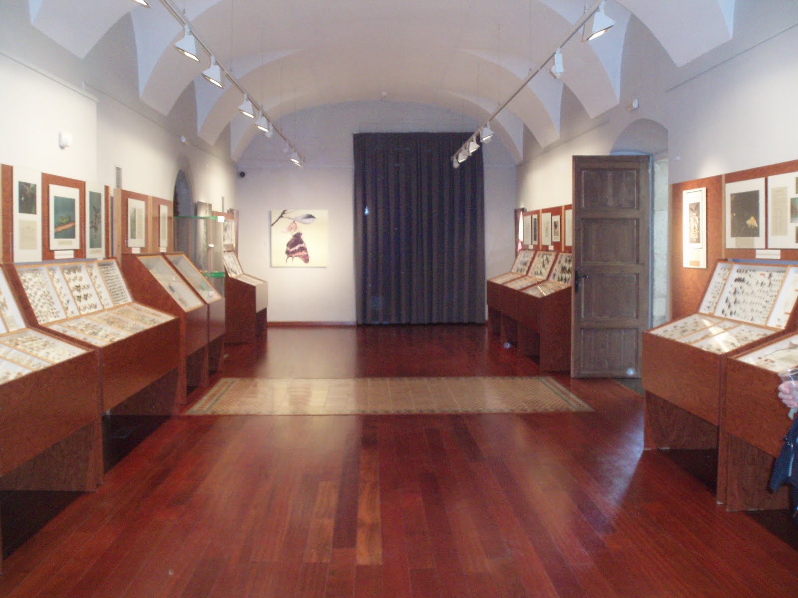 Museu de les Papallones de Catalunya